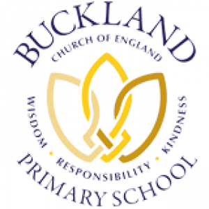 Buckland CE Primary School